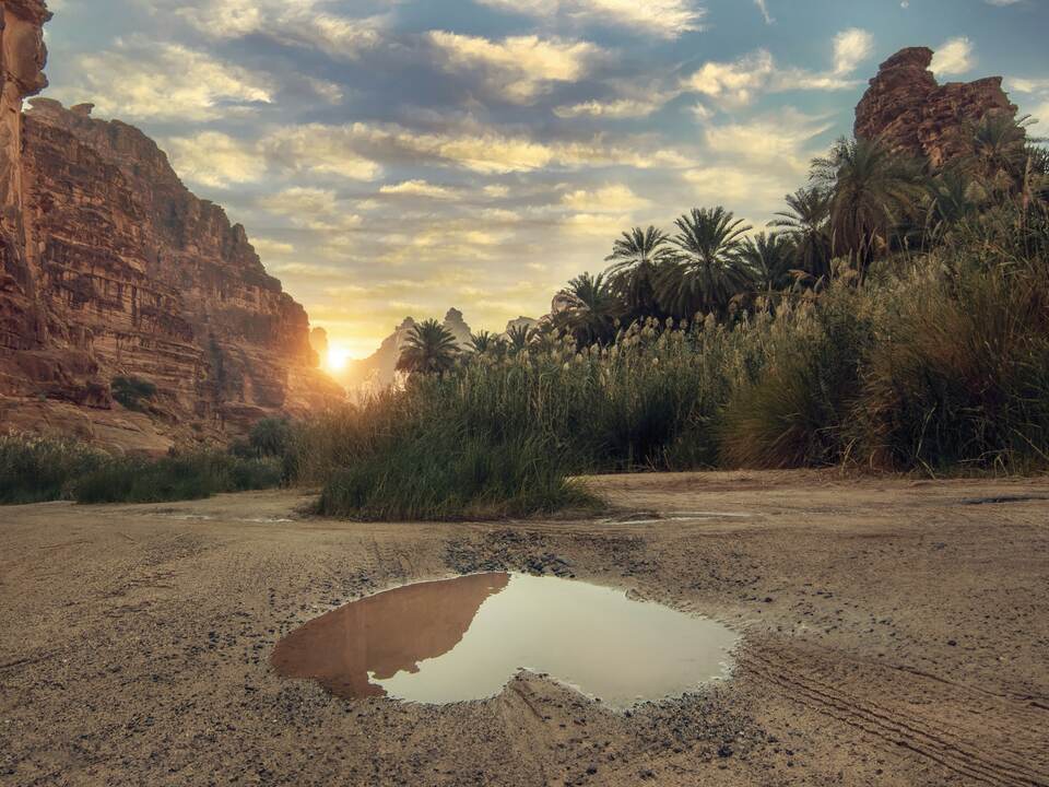 واحة نخيل وماء بين جبال العلا عند الشروق